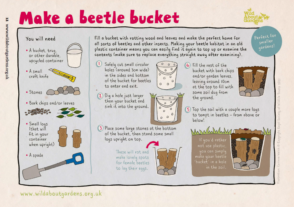 beetle bucket instructions
